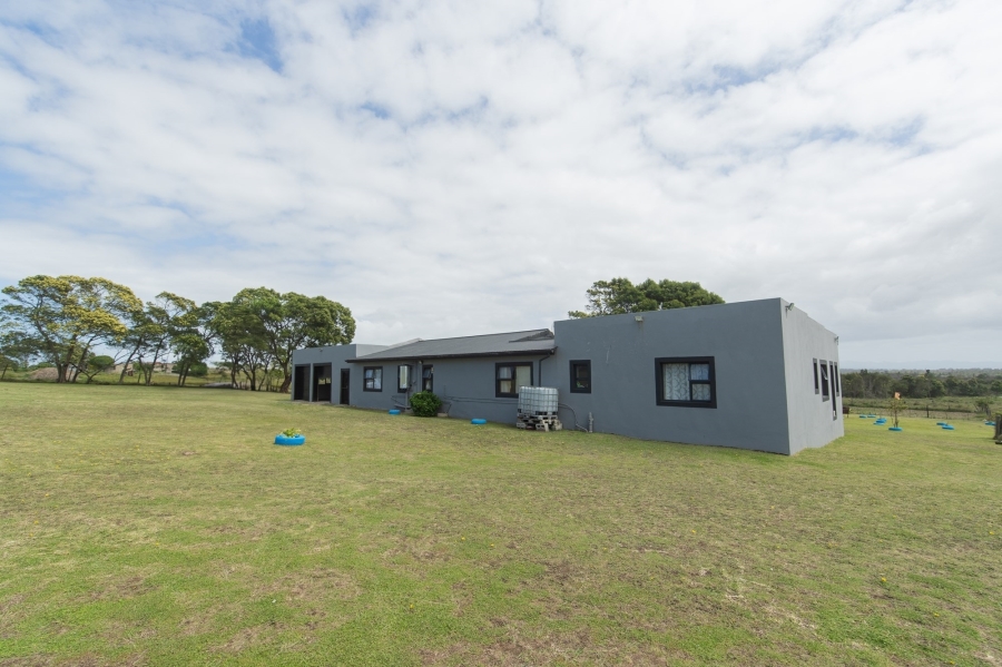 4 Bedroom Property for Sale in Greenbushes Eastern Cape